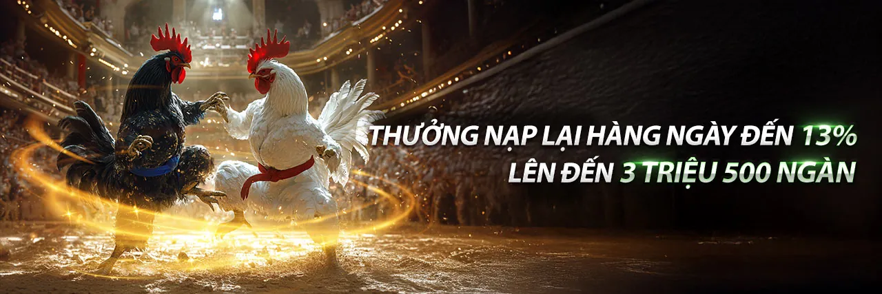 Đá Gà AZ Trực Tuyến Hấp Dẫn